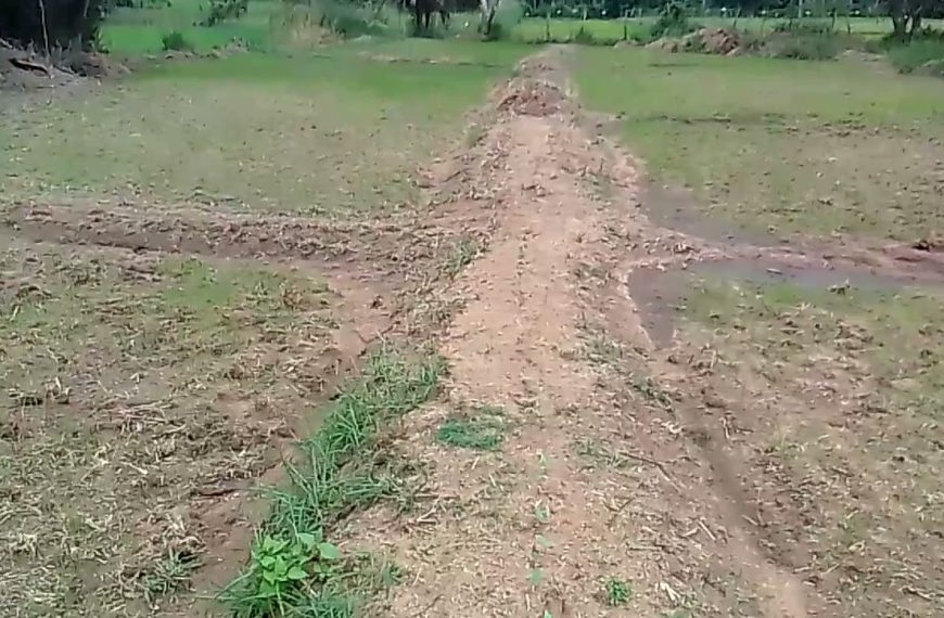 ගම්වතුරෙන් වාගා හානි ගොවින්ට කෝටි 180ක්