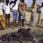 පළමුව මවිබිම දෙවුනු උපාධිය. පළමු…